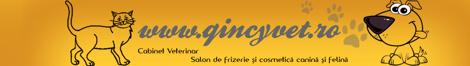 www.qincyvet.ro